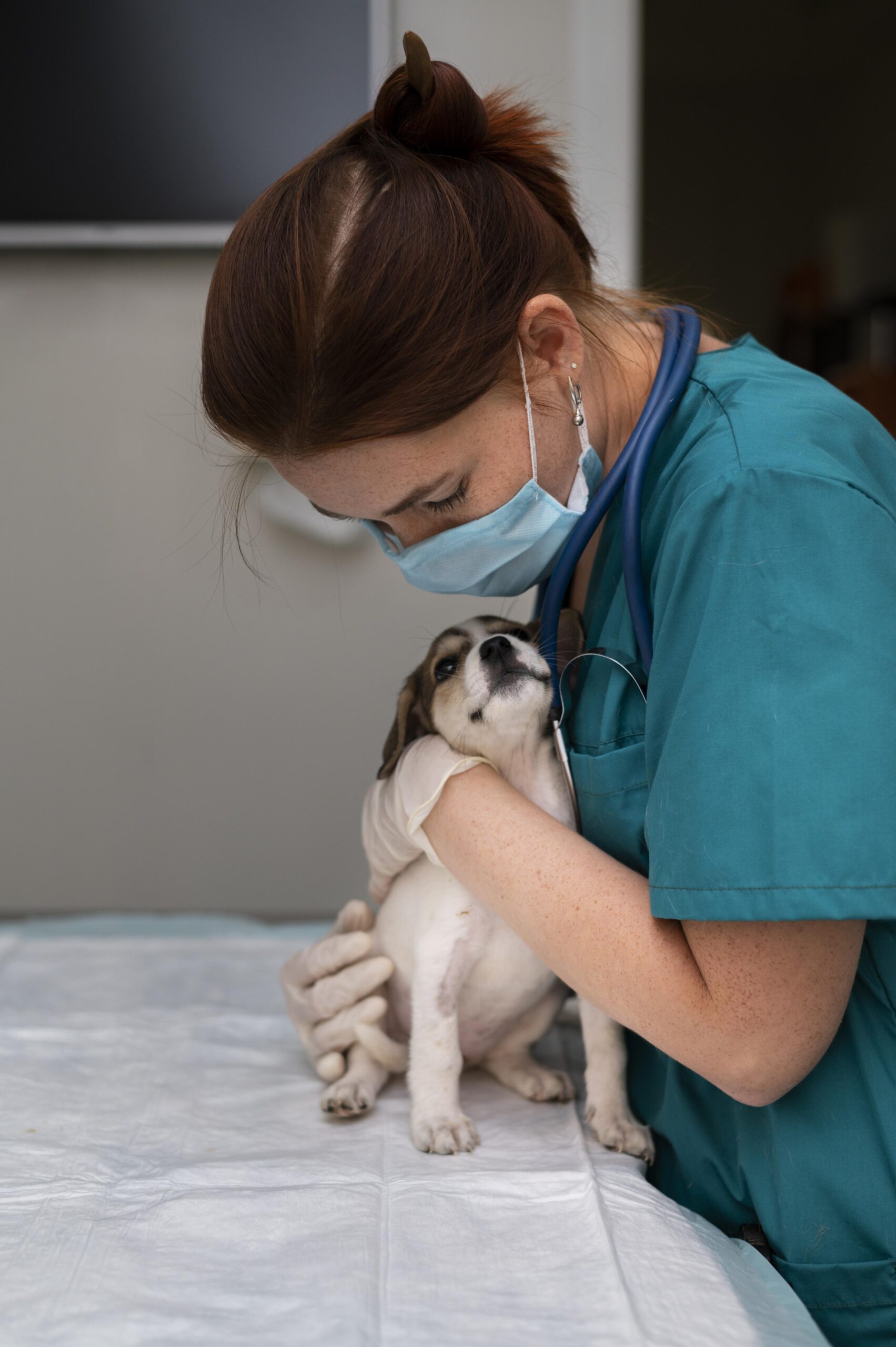 Medicina Veterinária FACSETE