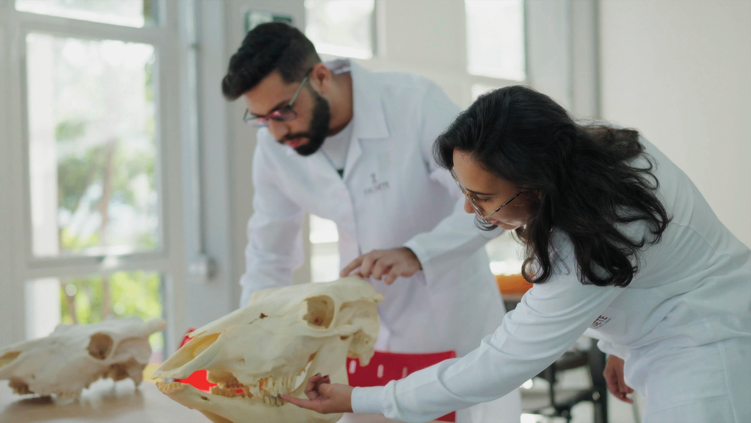 Curso de Medicina Veterinária FACSETE